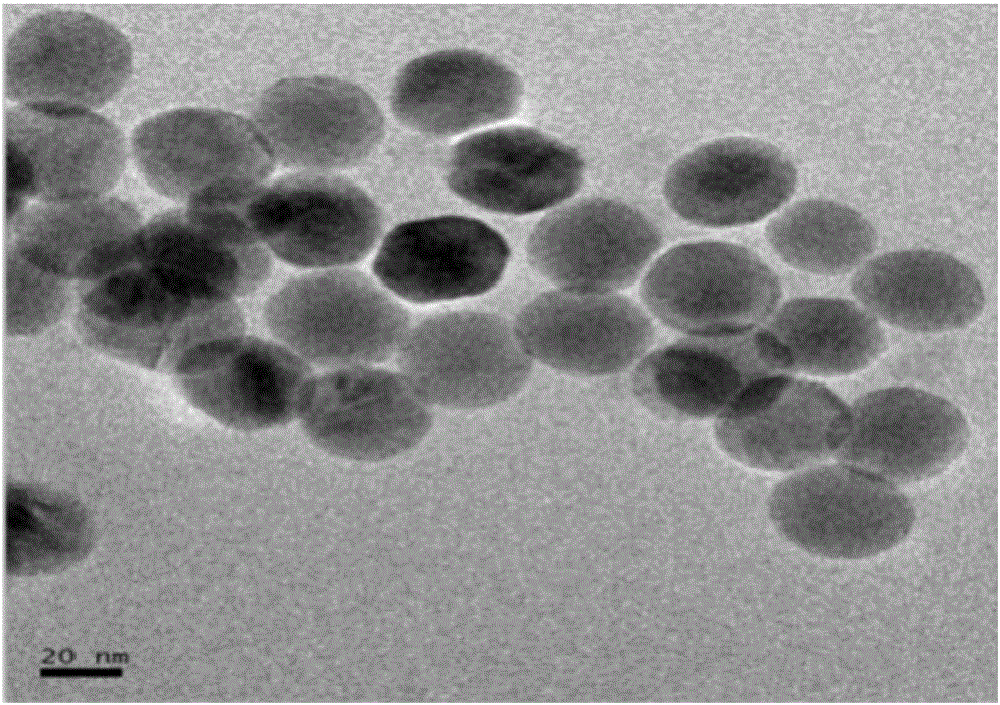 Multispectral up-conversion nanoparticle-based immunochromatographic test paper for rapidly detecting multiple pesticide residues and preparation method for immunochromatographic test paper