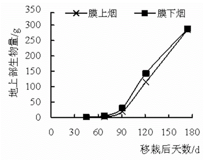 Flue-cured tobacco cultivation method fitting in with geographical characteristics of fen-flavor tobacco producing area