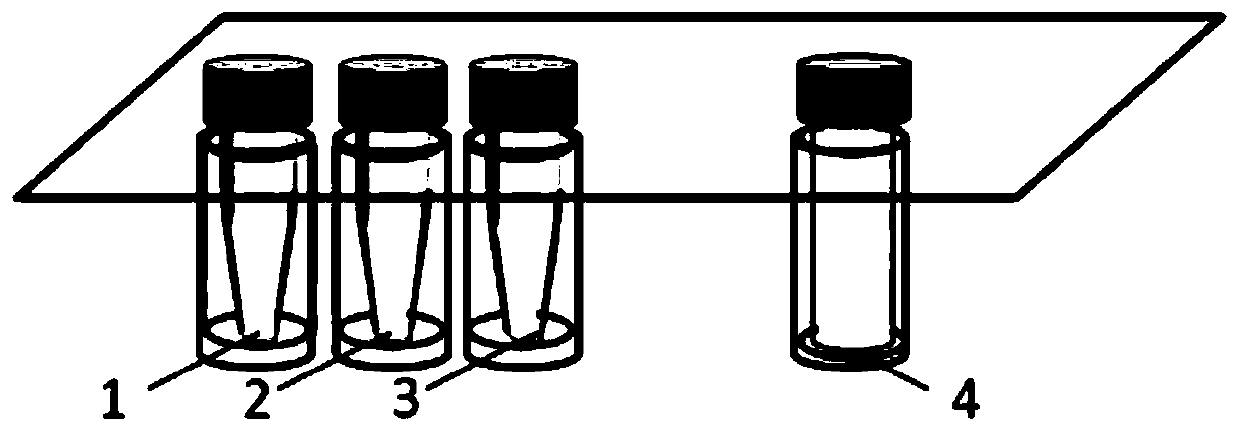 Reagent system and kit for detection of colorectal cancer spindle assembly checkpoint and application