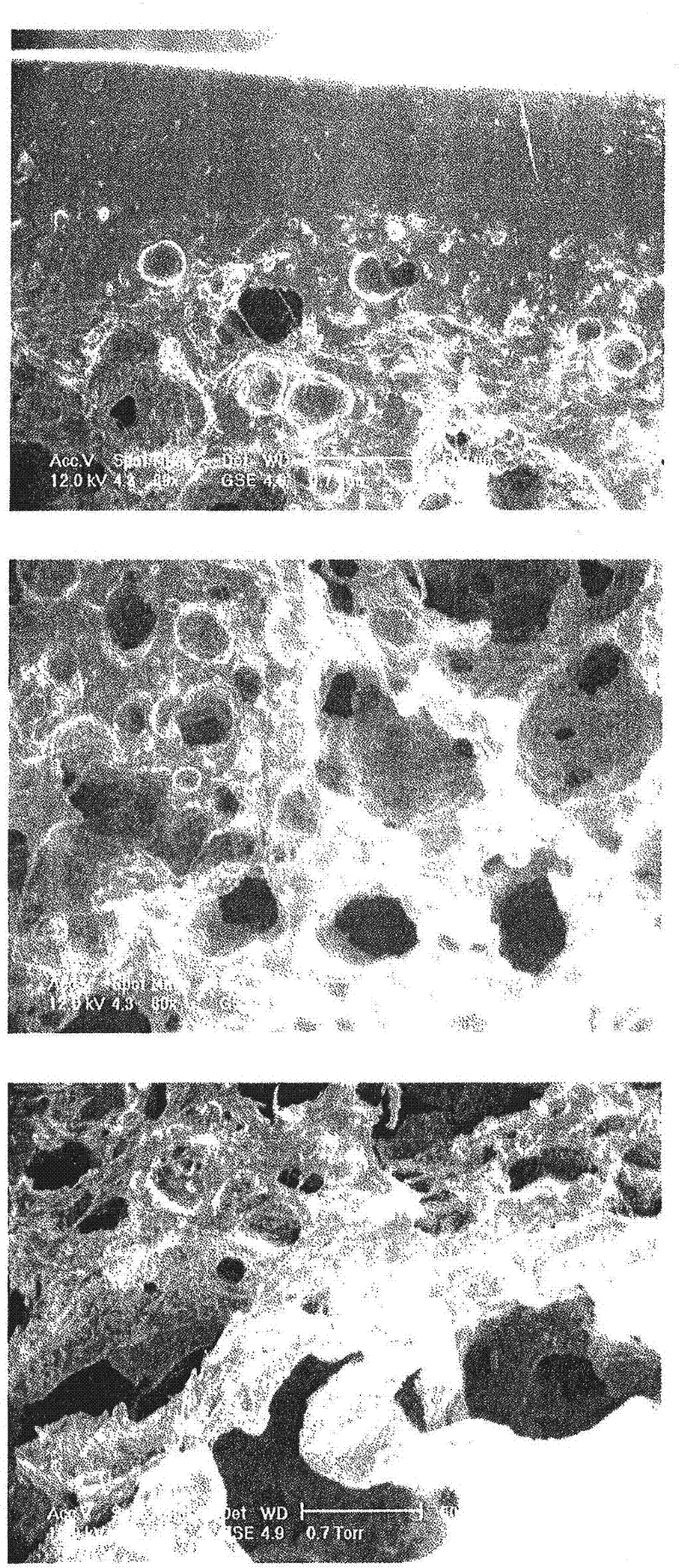 Superabsorbent polymer composite comprising a superabsorbent polymer and cellulosic nanofibrils