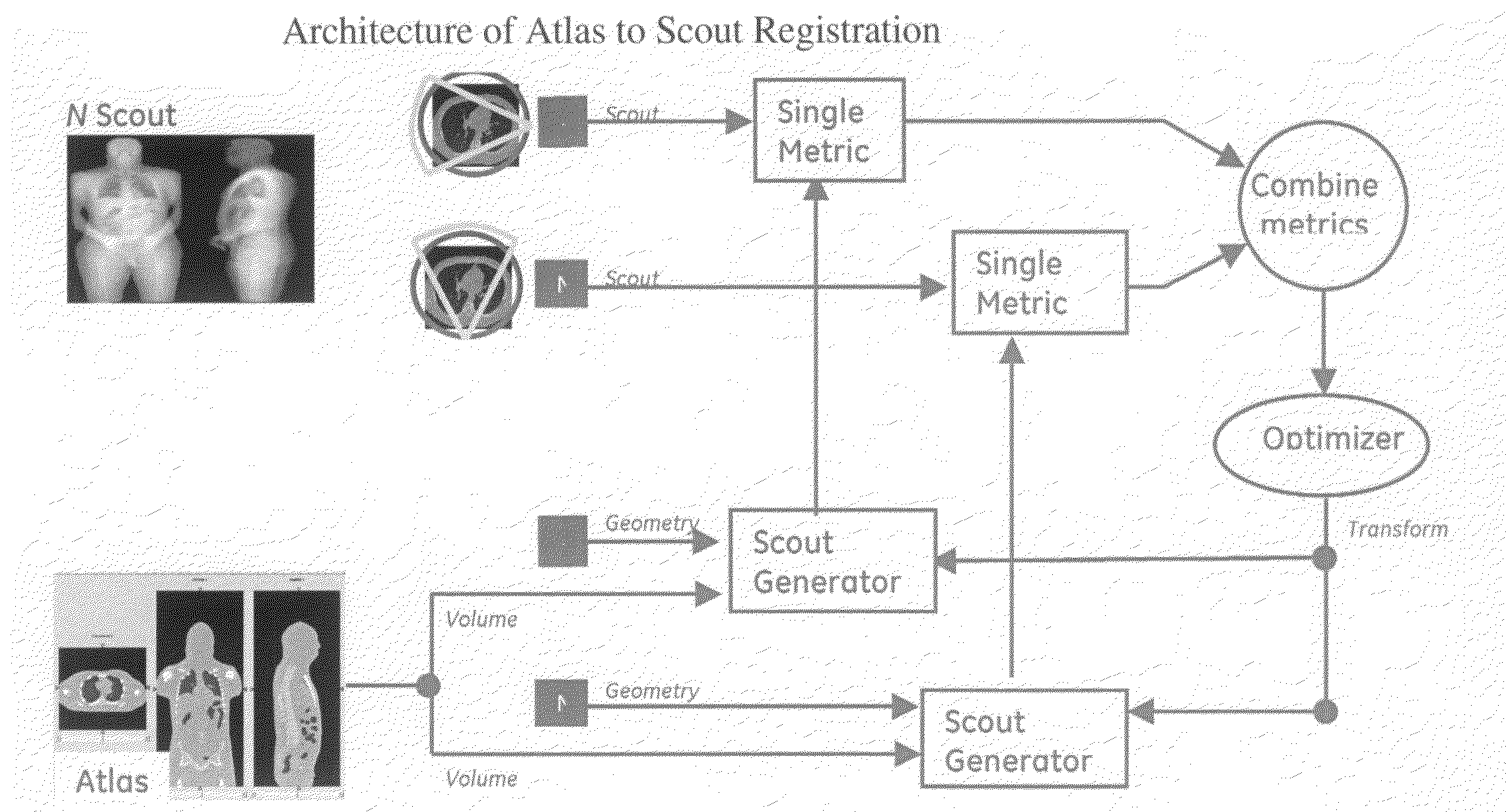 System and method for automated patient anatomy localization