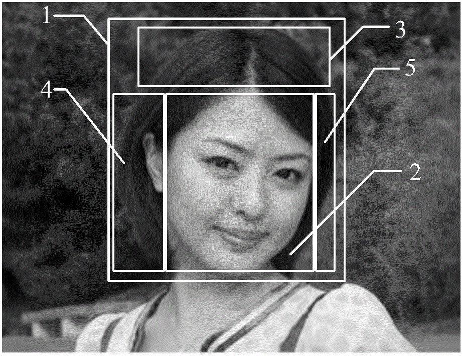 Method for detecting hair distribution and mobile terminal