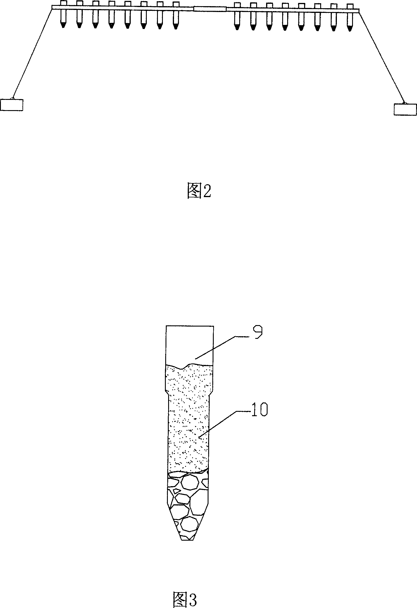 Cultivation method and apparatus for sea asparagus