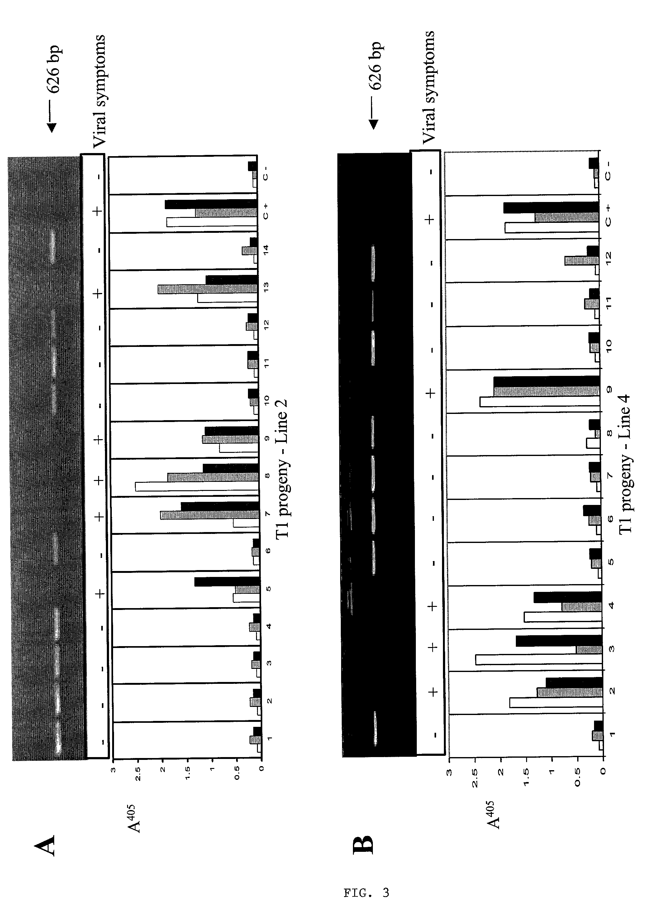 Methods and means for producing barley yellow dwarf virus resistant cereal plants