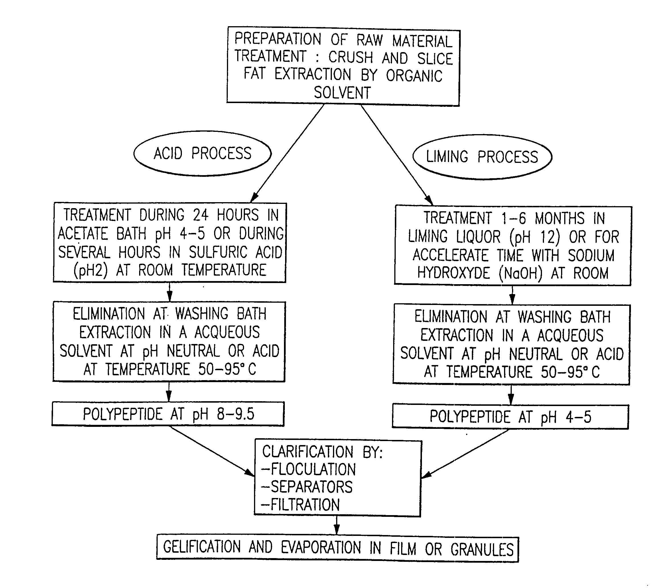 Photonics data storage system using a polypeptide material and method for making same