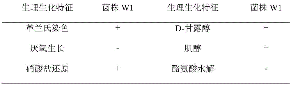 Bacillus amyloliquefaciens strain W1 for controlling plant spider mites and application