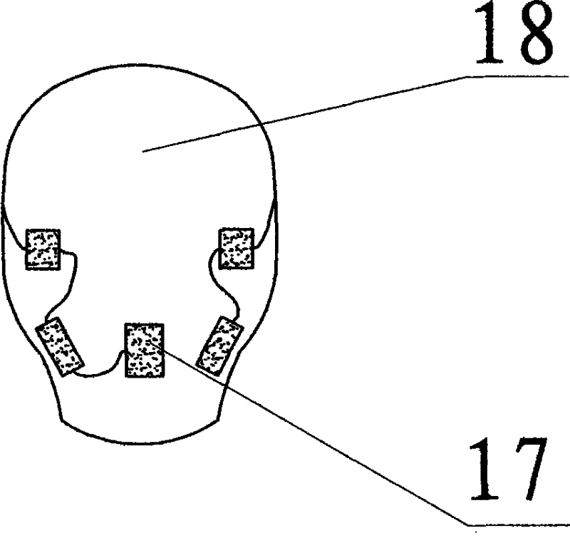 An automatic head massage cleaning beauty instrument