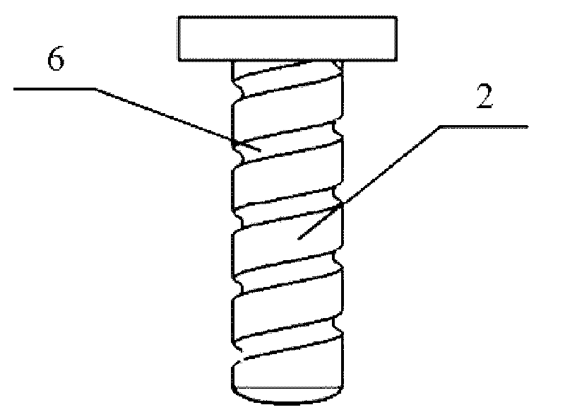 Nozzle for direct-injection engine