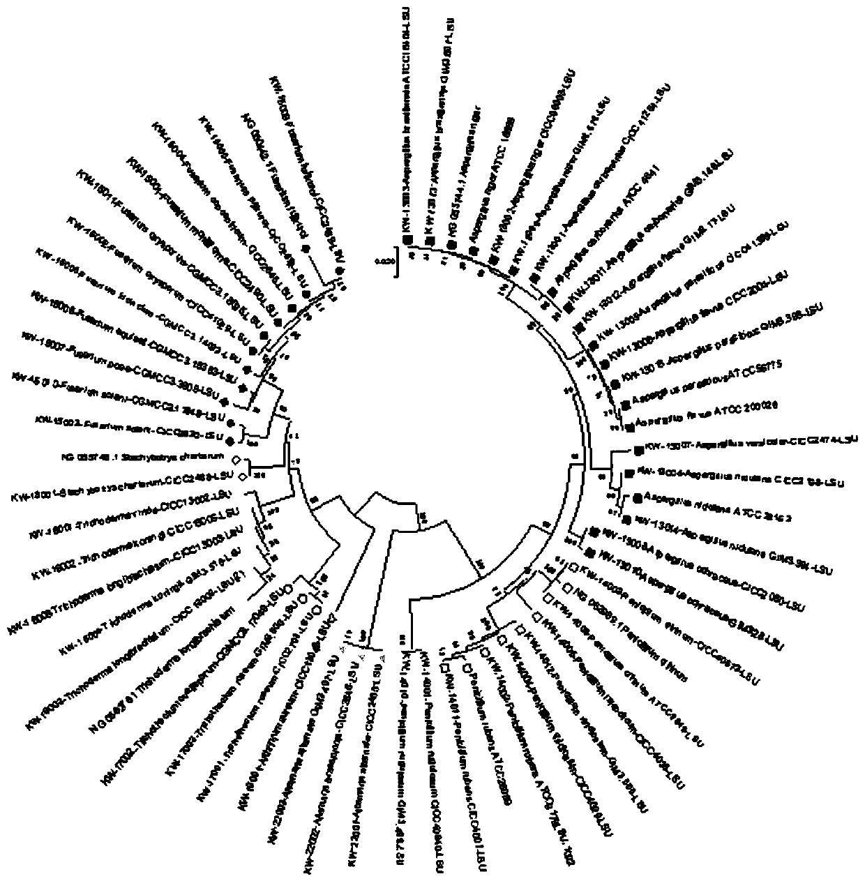 Characteristic sequence identification method of common toxigenic fungi in drug quality control