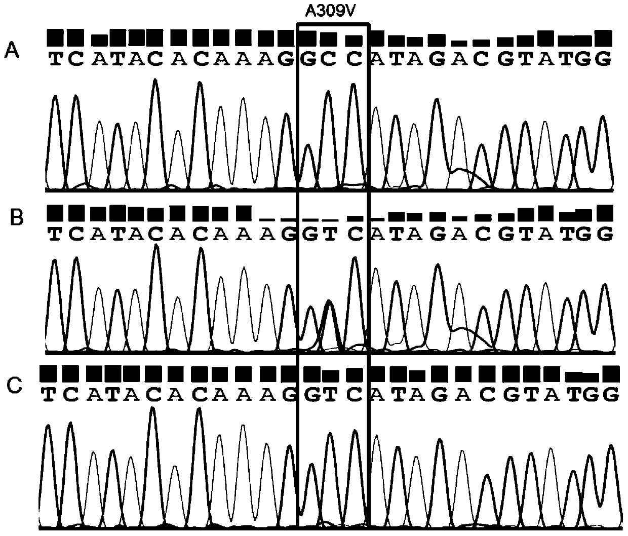 A Molecular Detection Method for Resistance of Plutella xylostella to Abamectin Targets