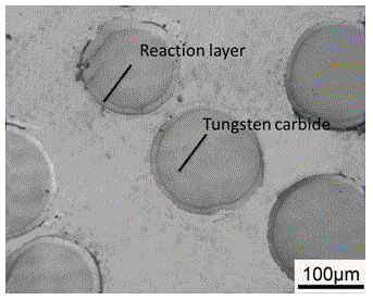 A kind of preparation method of particle reinforced metal matrix composite material