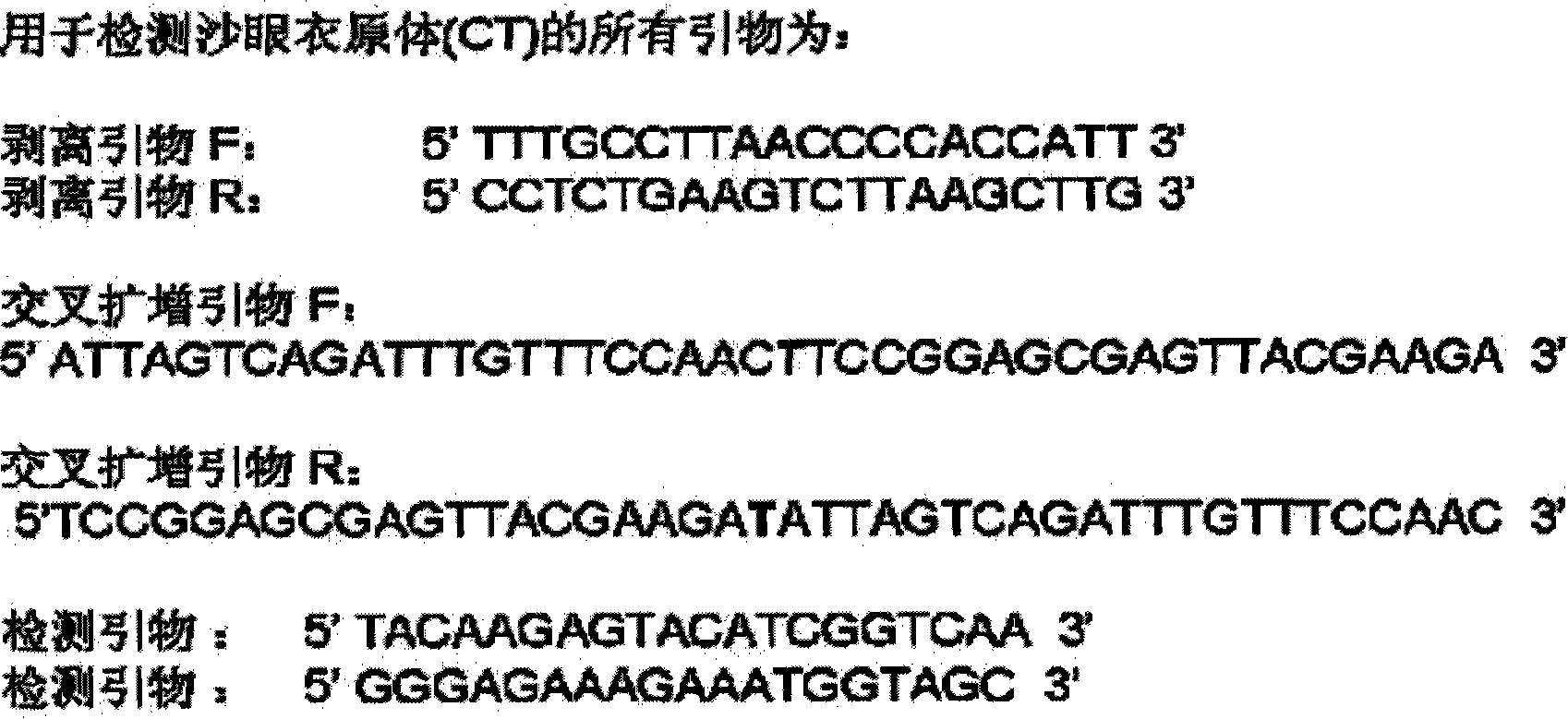 Method for amplifying target nucleic acid sequence by using cross primer and kit for amplifying target nucleic acid sequence and application thereof