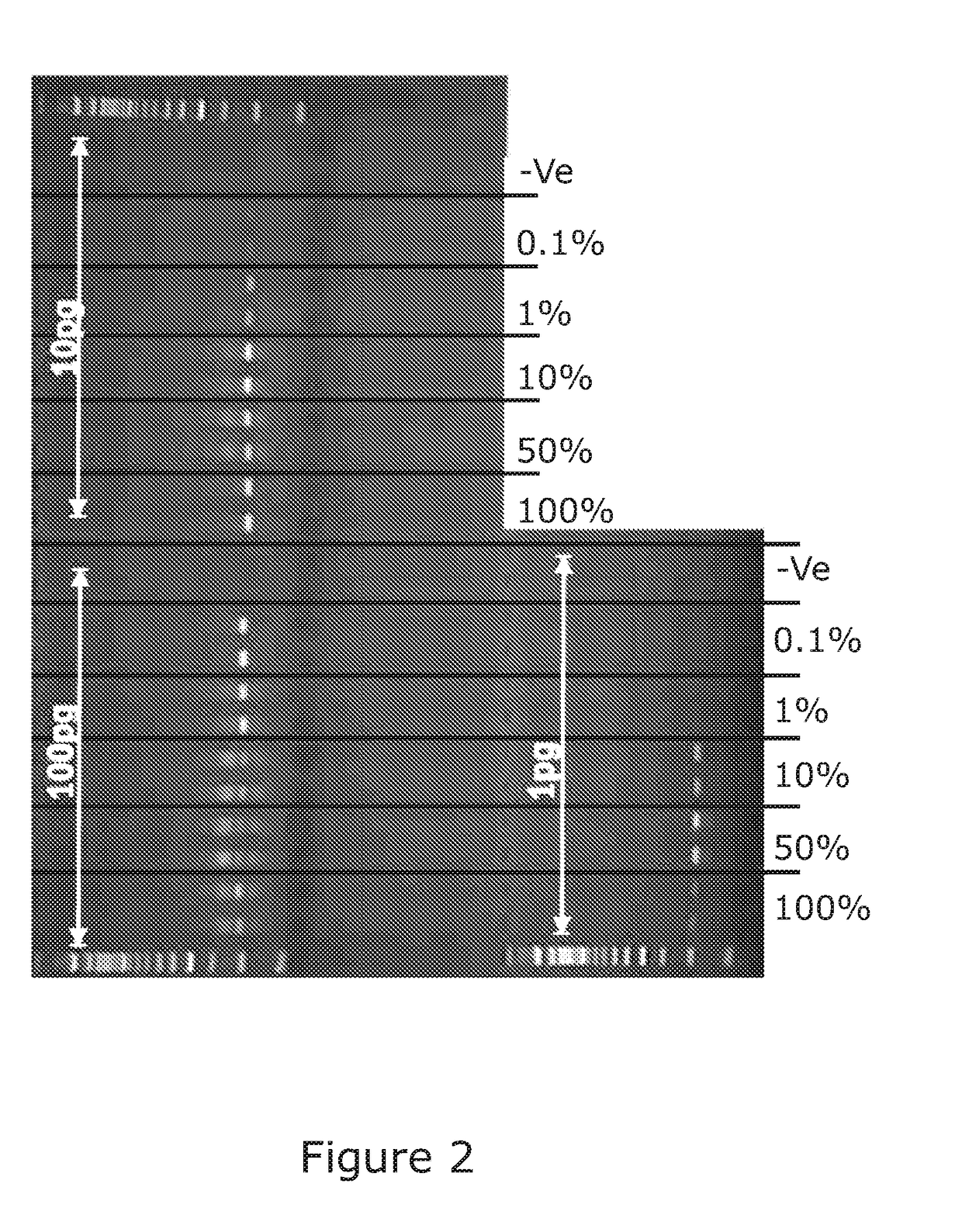 Improvements in and relating to nucleic acid probes and hybridisation methods