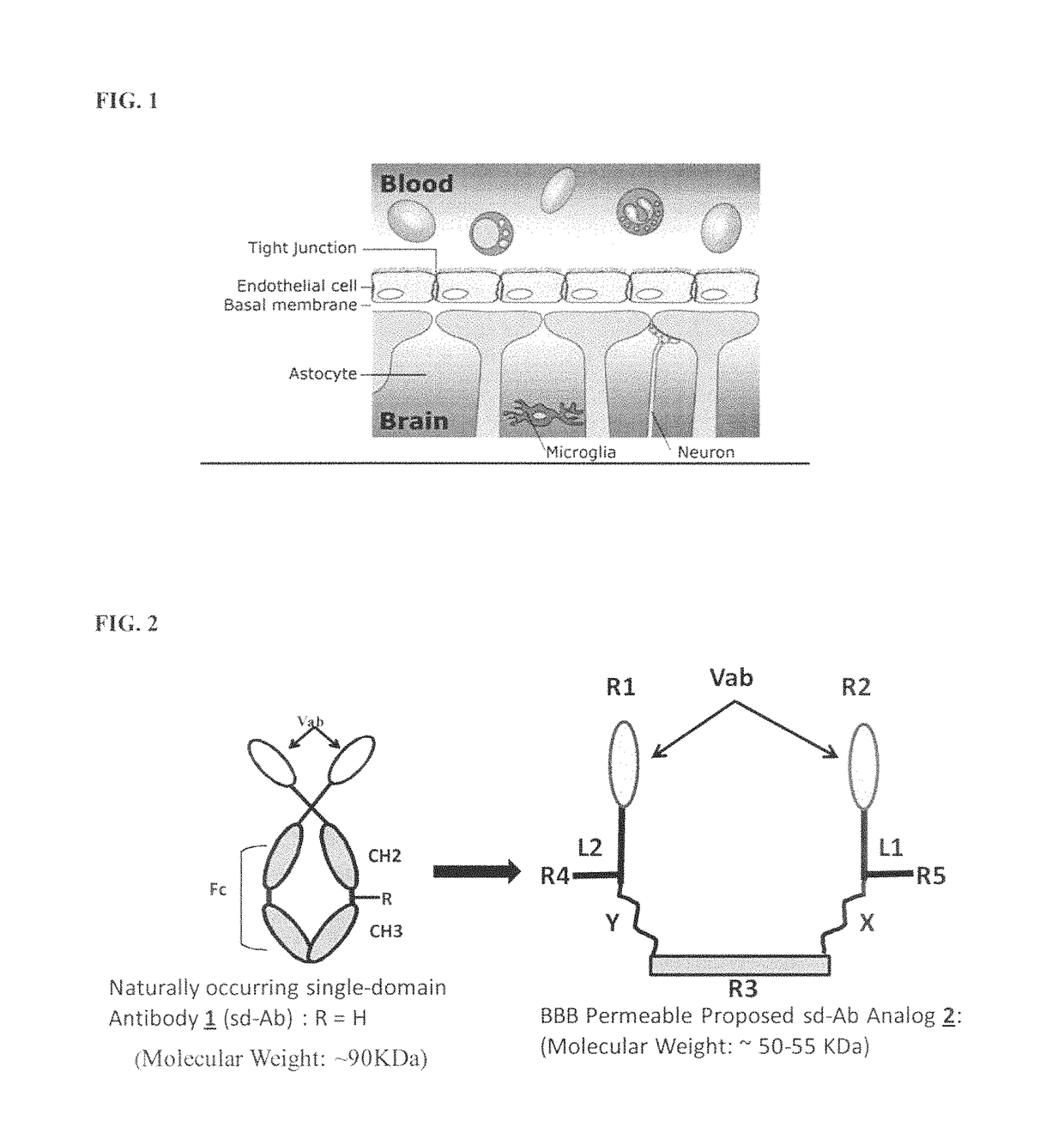 Methods of assessing amyloid-beta peptides in the central nervous system by blood-brain barrier permeable peptide compositions comprising a vab domain of a camelid single domain heavy chain antibody against an anti-amyloid-beta peptide