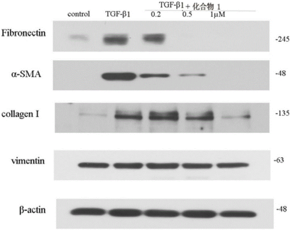 2-aryl-1,3-dihydro-benzimidazol derivative as well as synthesis method and application thereof