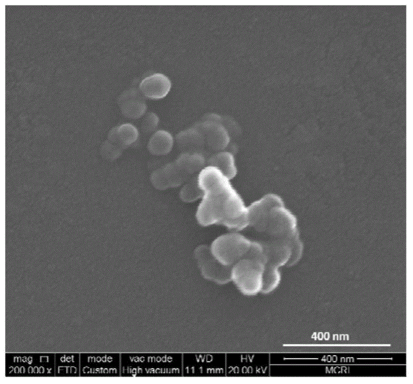 Amphiphilic Eu (III) complex, preparation method thereof and application thereof in sensing identification of citric acid/isocitric acid