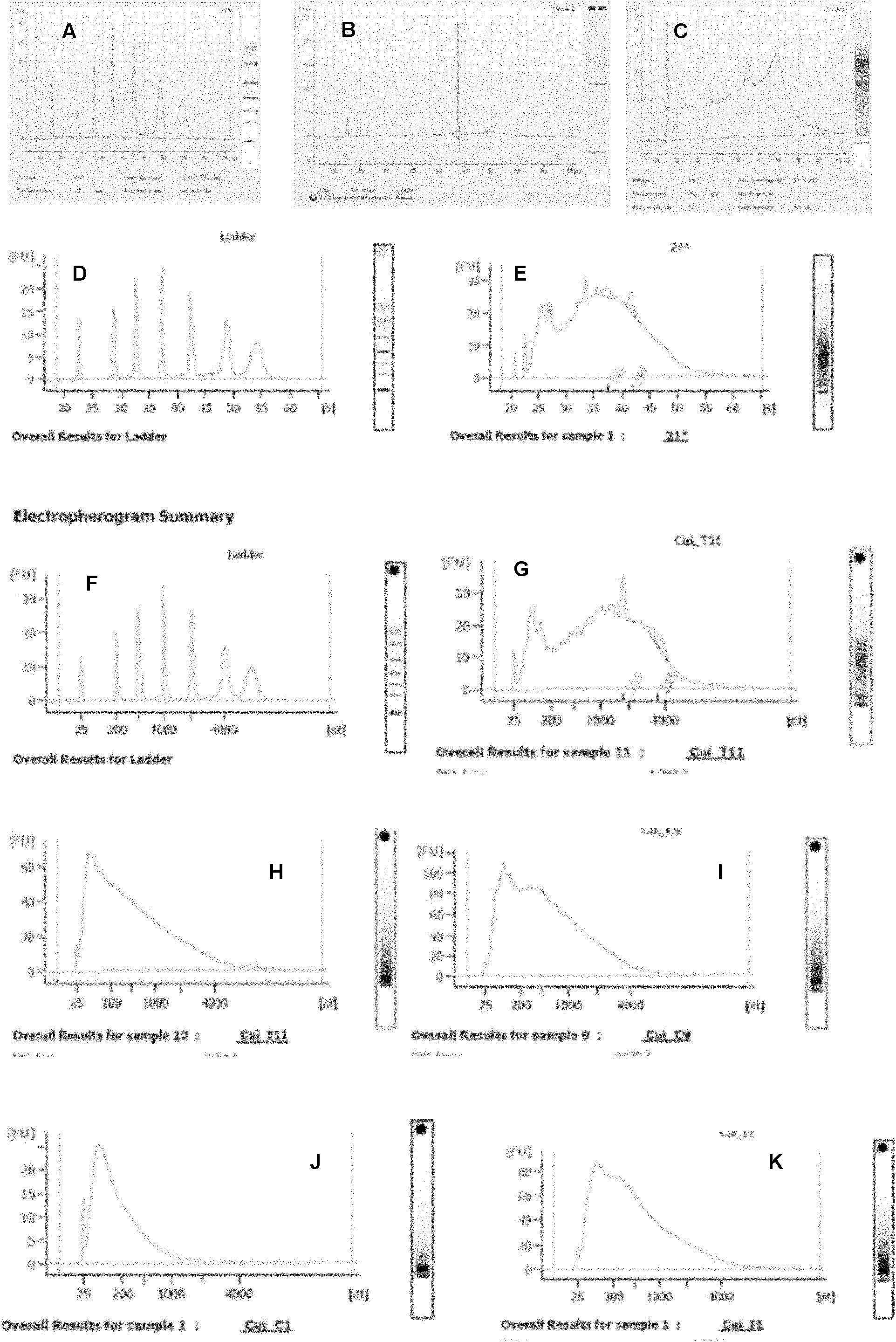 Method for extracting total ribonucleic acid (RNA) from paraffin-embedded tissues