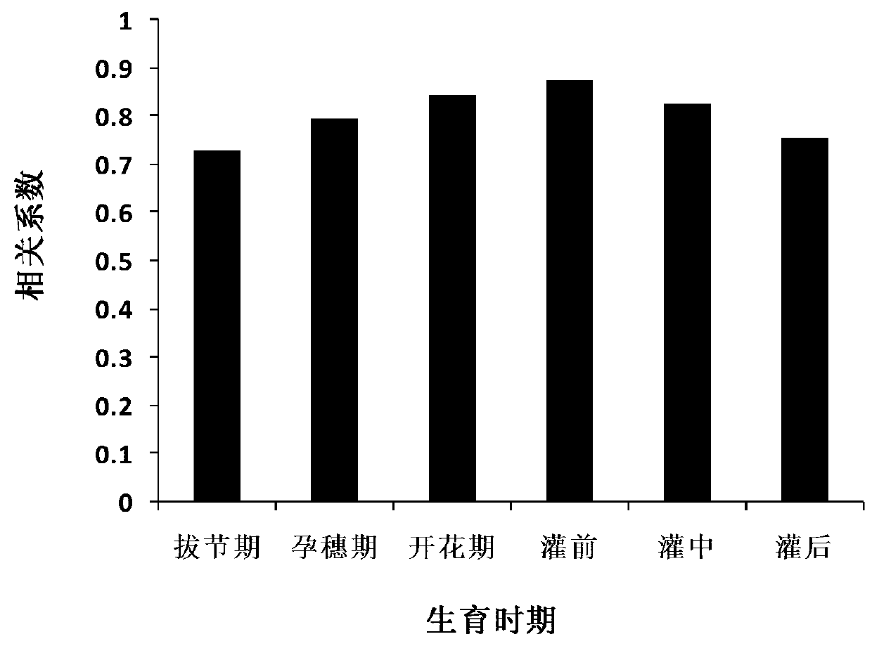 Method for Predicting Wheat Grain Yield Based on Chlorophyll Fluorescence and Its Model Construction Method