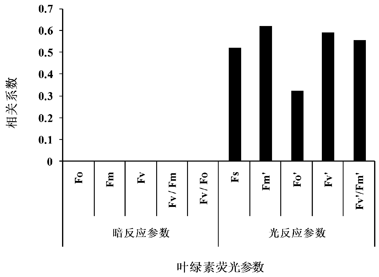 Method for Predicting Wheat Grain Yield Based on Chlorophyll Fluorescence and Its Model Construction Method