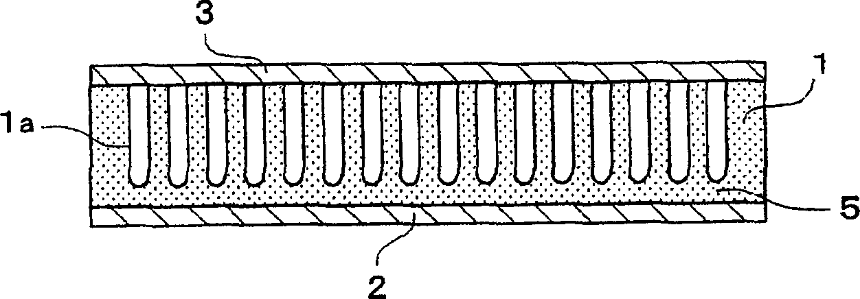 Electron source device and display