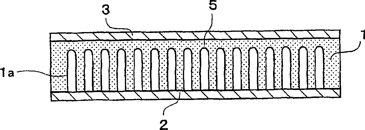 Electron source device and display