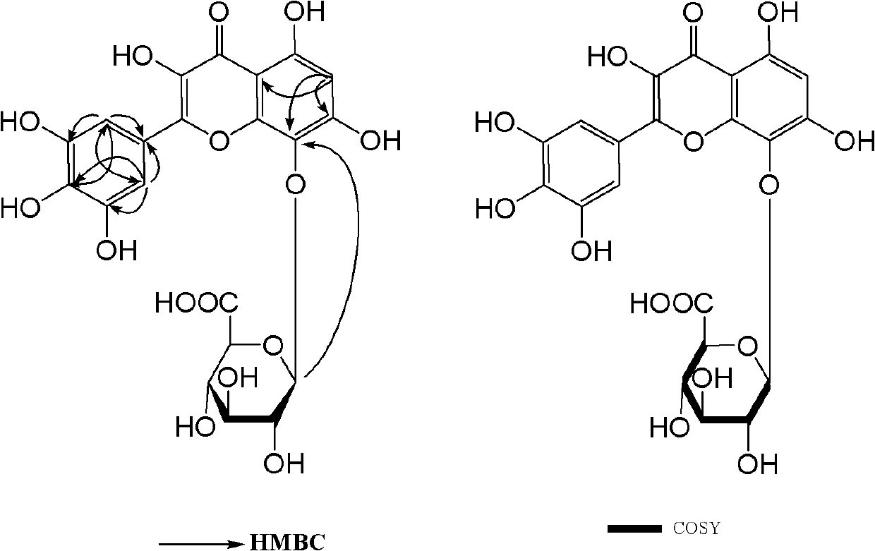 Abelmoschus manihot extract and novel application of chemical components thereof