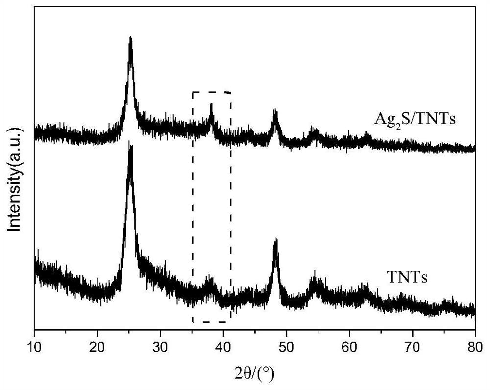 A method for preparing titanium dioxide tube-based composite material by biological method