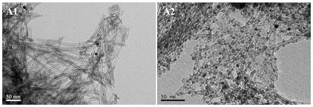 A method for preparing titanium dioxide tube-based composite material by biological method