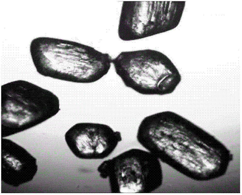 Method for extracting crystal from magma