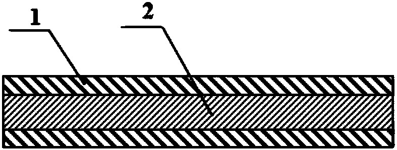 Elastic lead and preparation method thereof