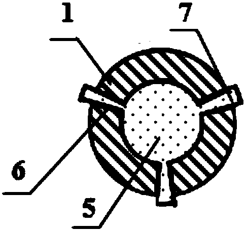 Elastic lead and preparation method thereof