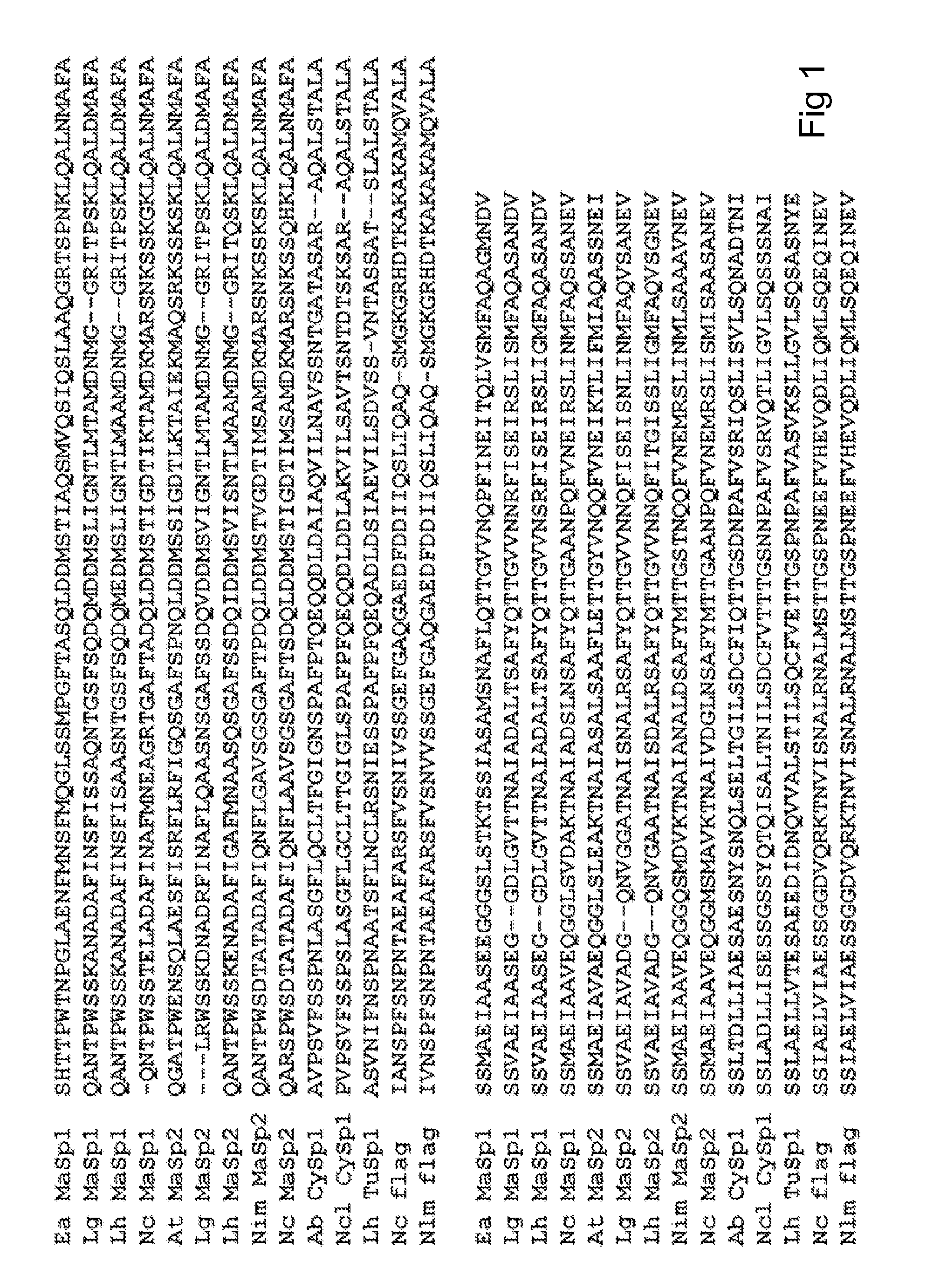 Production of proteins and polypeptides