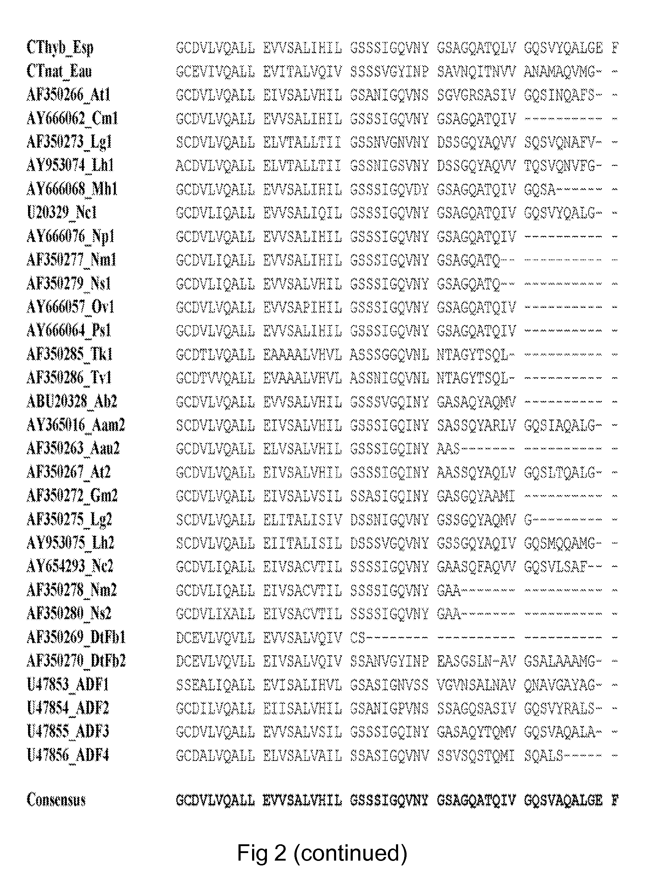 Production of proteins and polypeptides