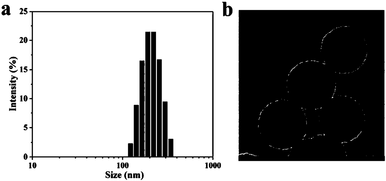 Targeting mesoporous polydopamine multi-purpose nanometer diagnosis and treatment preparation as well as preparation method and applications thereof