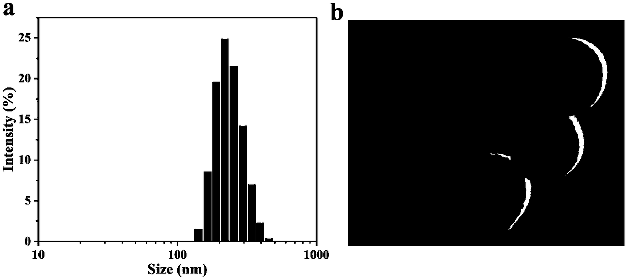 Targeting mesoporous polydopamine multi-purpose nanometer diagnosis and treatment preparation as well as preparation method and applications thereof