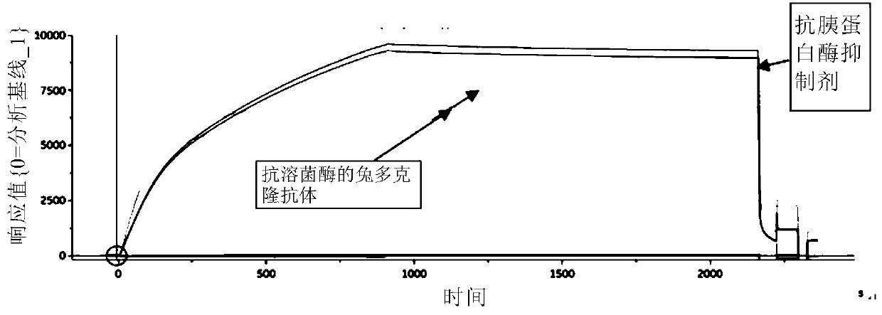 Anti-PD-L1/VEGF bifunctional antibody and application thereof