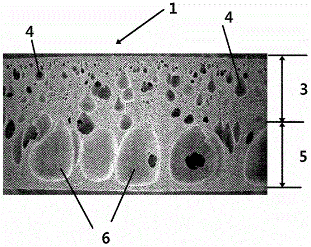 Maintaining pad having high-precision flatness