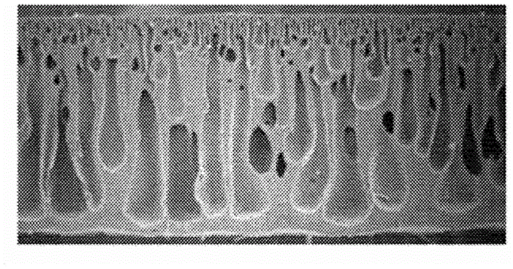 Maintaining pad having high-precision flatness