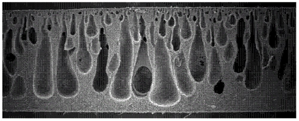 Maintaining pad having high-precision flatness