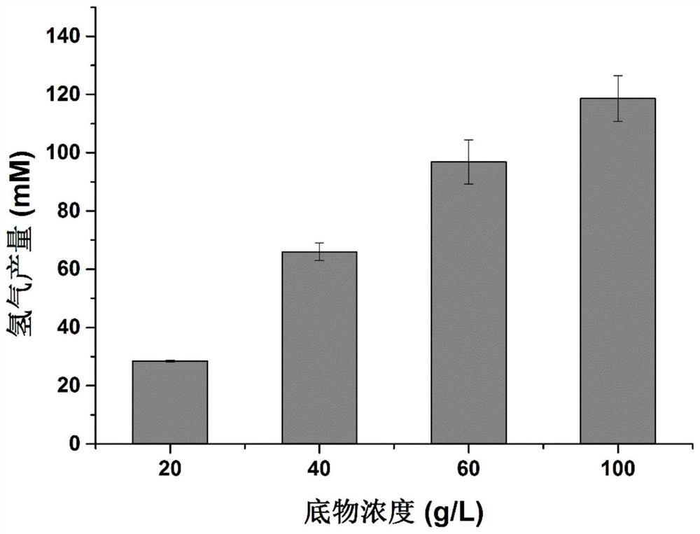 A method and application of directly using non-detoxified acid to pretreat lignocellulose for hydrogen production