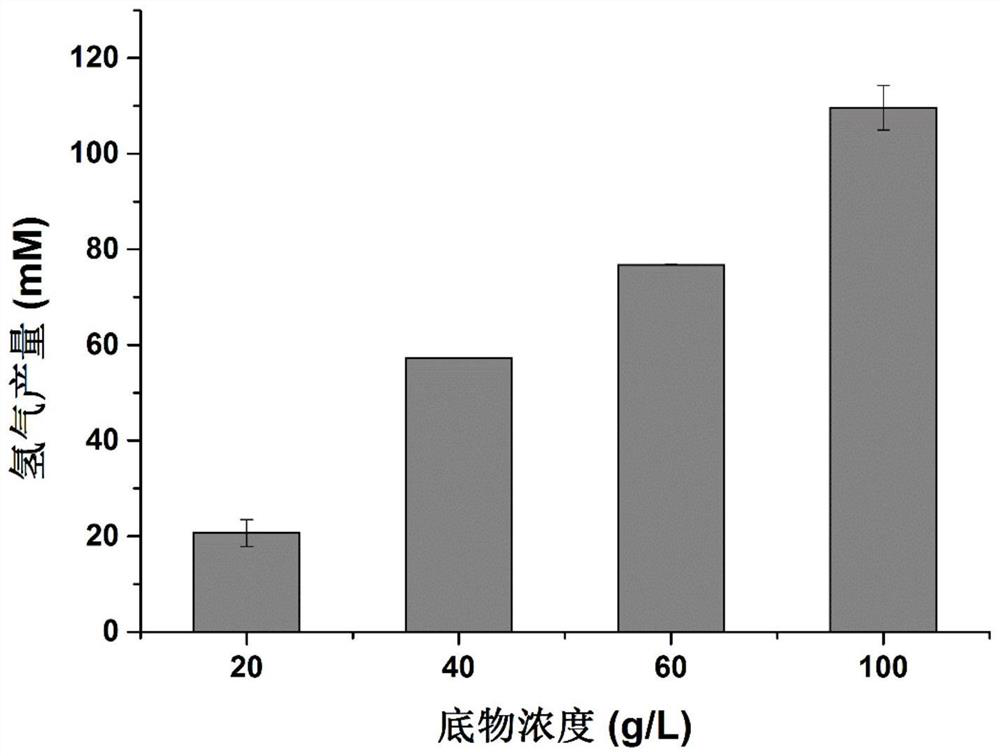 A method and application of directly using non-detoxified acid to pretreat lignocellulose for hydrogen production