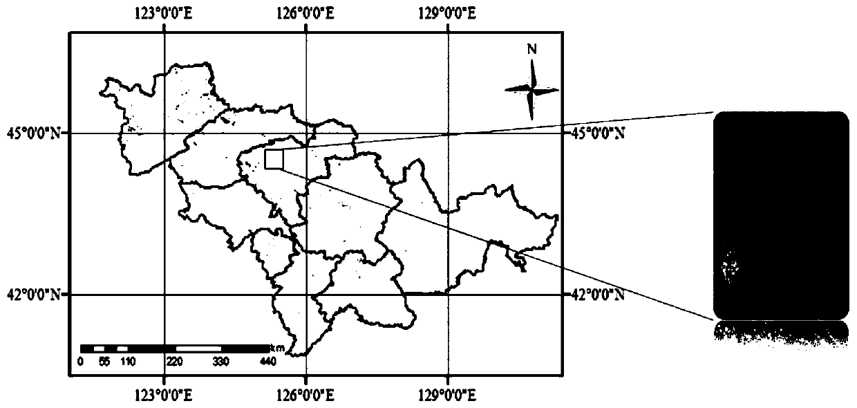 Corn biomass inversion calculation method based on satellite radar remote sensing data