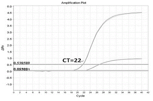 Human K-ras (K-rat sarcoma) gene mutation parting type fluorescent quantitation PCR (polymerase chain reaction) detecting reagent kit and detecting method