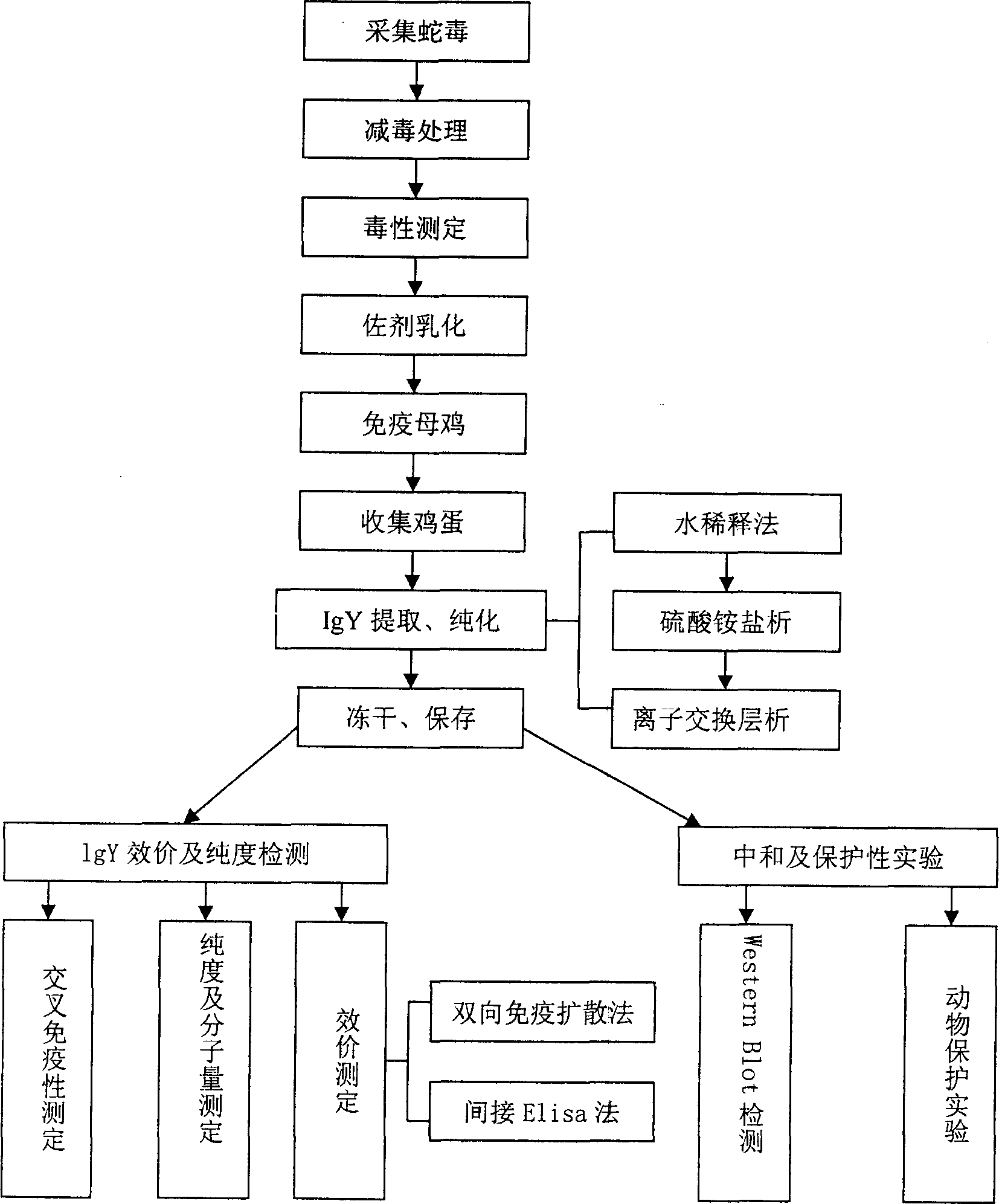 Chicken yoke antibody resisting Bengalese cobra venom and its preparation