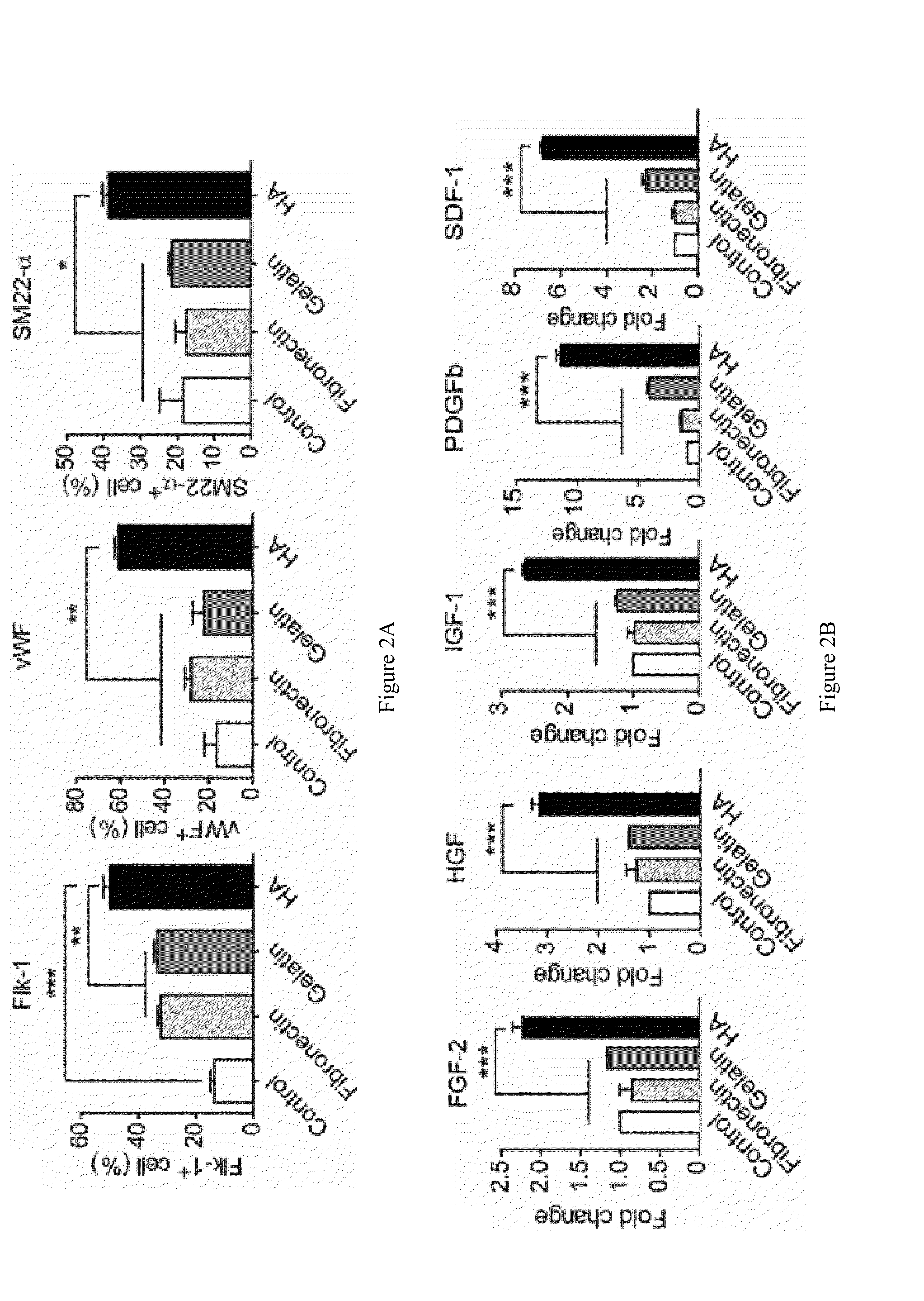 Methods and Compositions Comprising Hyaluronan for Enhancing Bone Marrow Cell Therapy