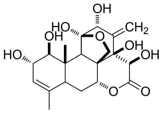 Application of Eurycomanol in preparation of drugs, food and health care products for preventing and treating abacterial prostatitis