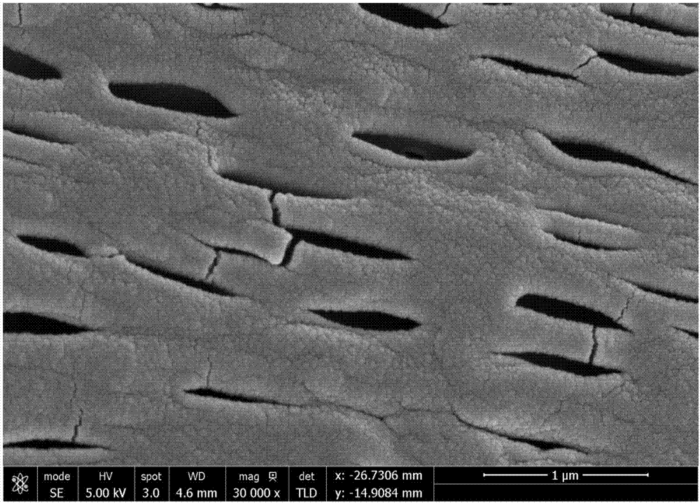 Preparation method of shape memory fiber membrane with adjustable fiber surface micropore structure and application of drug release of membrane