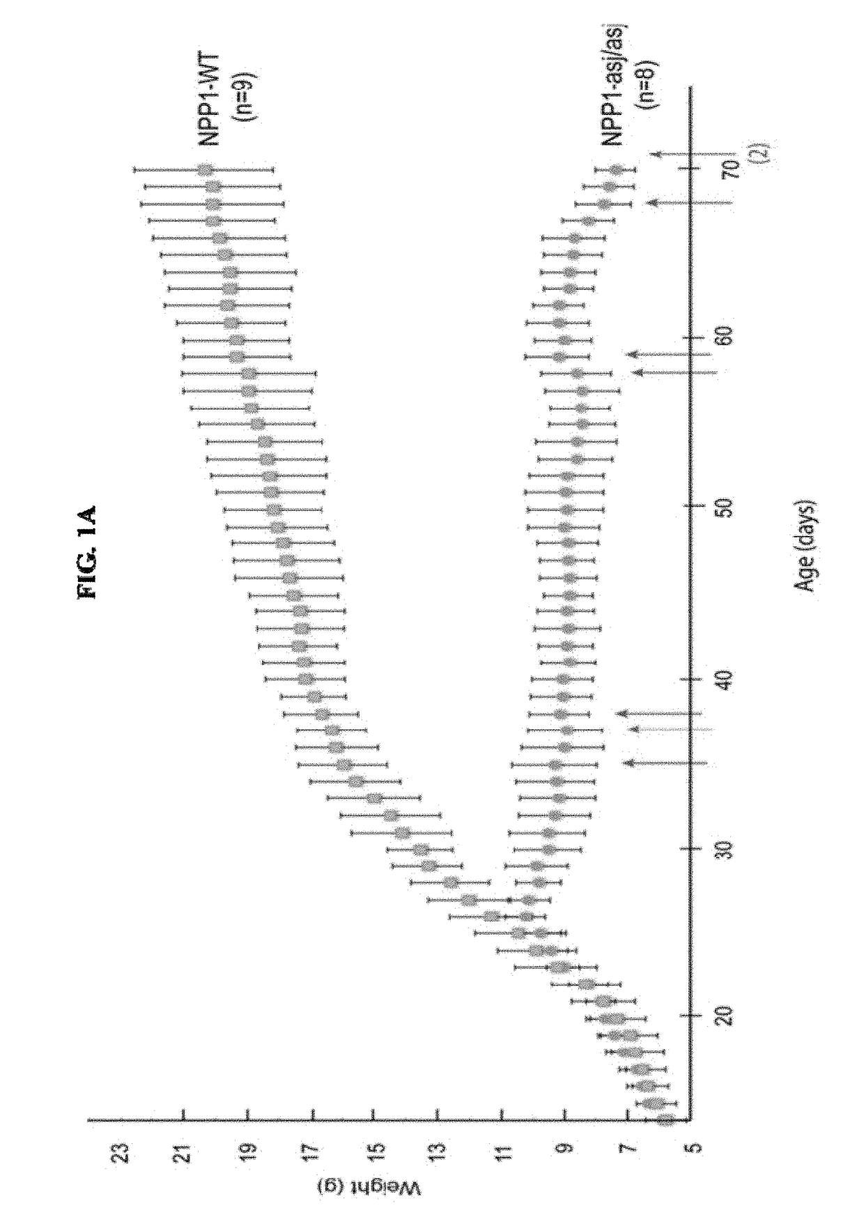 Compositions for Treating Pathological Calcification Conditions, and Methods Using Same