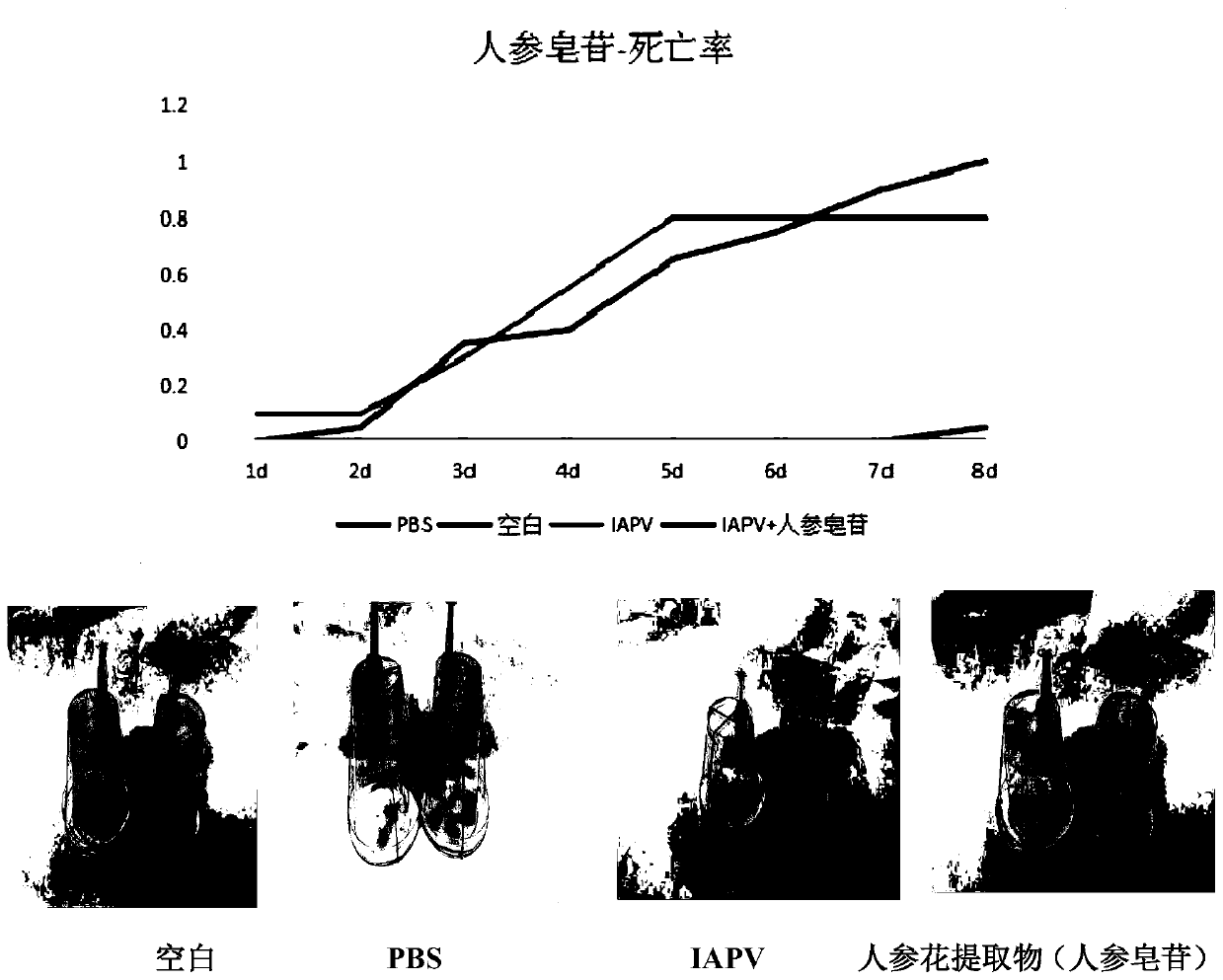 Construction method and application of Israeli acute paralysis virus (IAPV) infectious clone