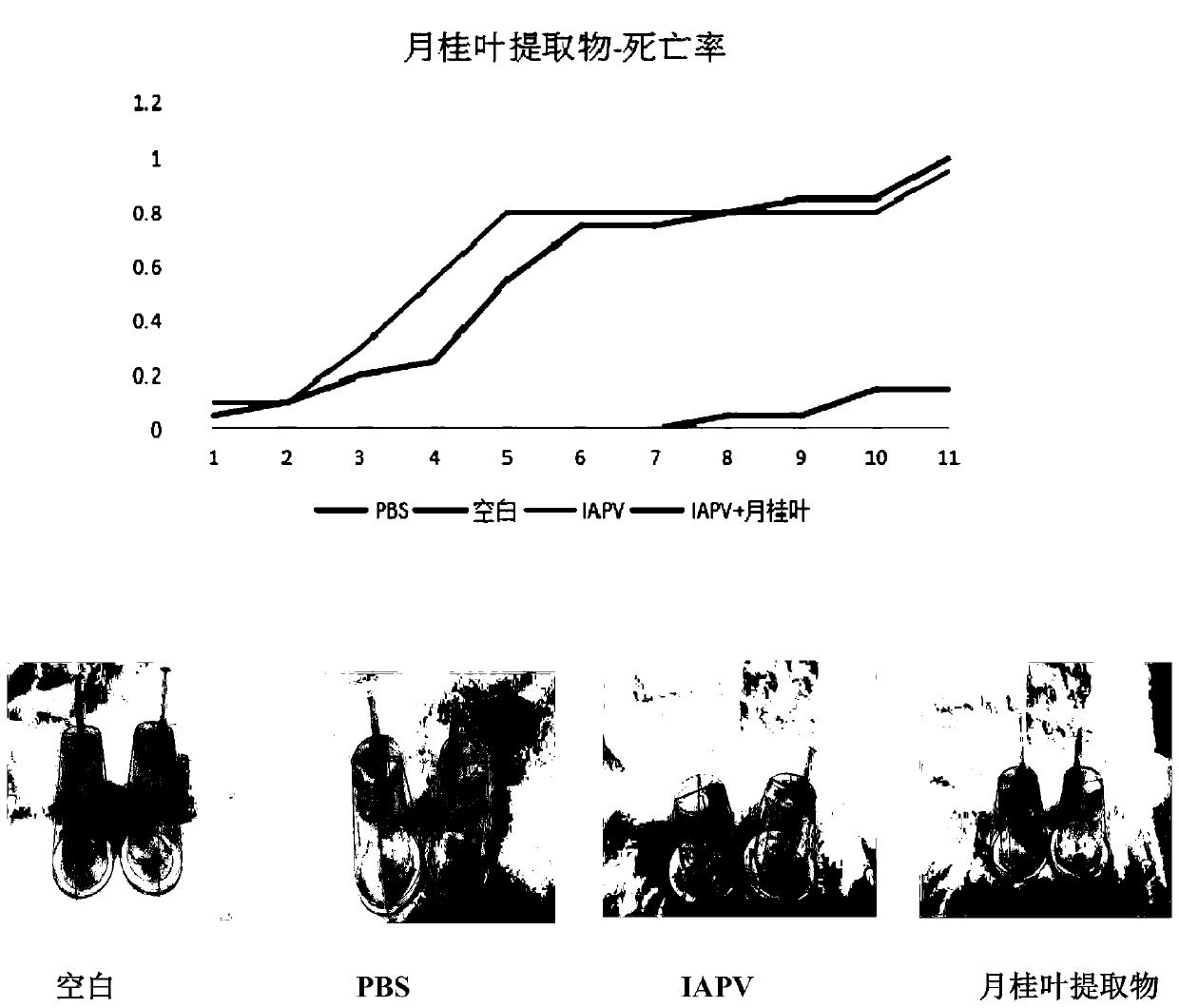 Construction method and application of Israeli acute paralysis virus (IAPV) infectious clone